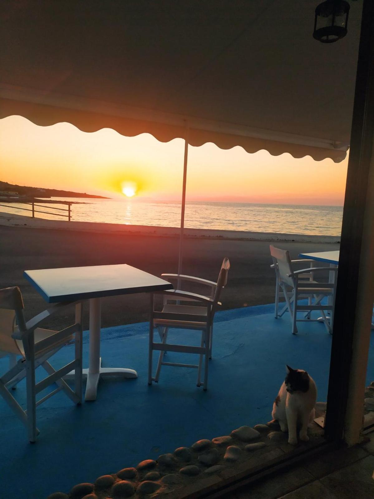 Meltemi Beach Apartments Mílatos Eksteriør bilde