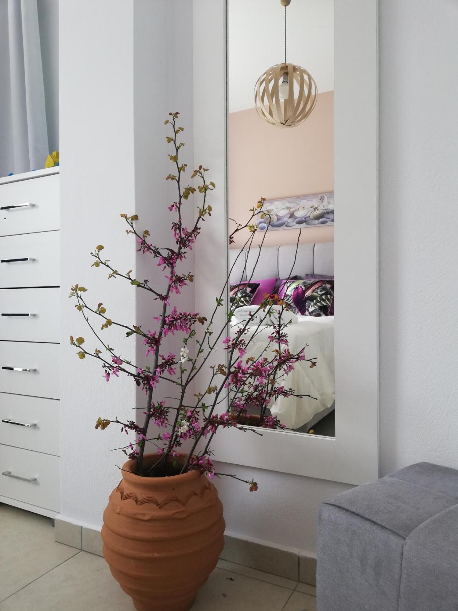 Meltemi Beach Apartments Mílatos Eksteriør bilde